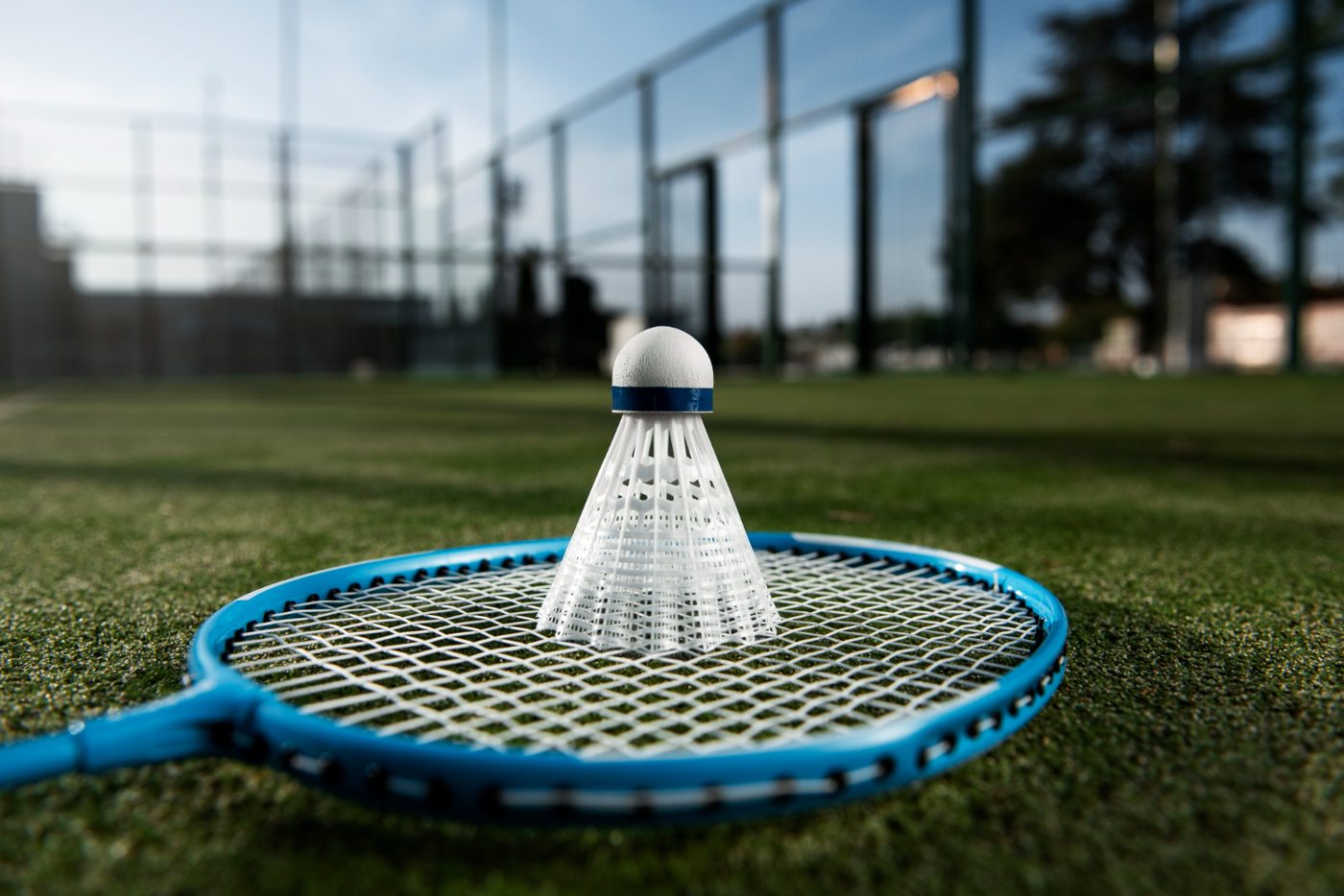 Badminton racket and shuttlecock